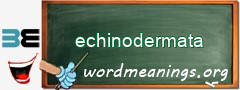 WordMeaning blackboard for echinodermata